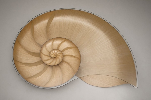 designer tisch mit nautilus form von oben gesehen