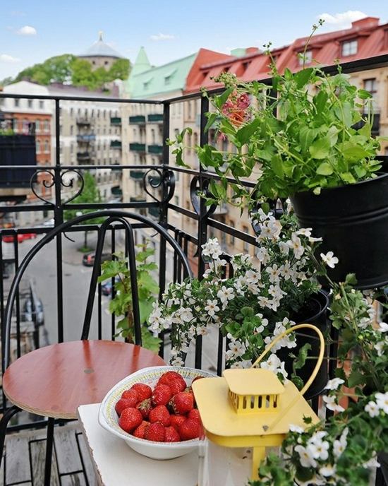 Balkon Blumenkasten Geländer Erdbeeren Tisch