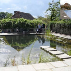 Bio-Schwimmteich-Garten-bauen-naturnah-fliesen