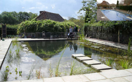 Bio-Schwimmteich-Garten-bauen-naturnah-fliesen