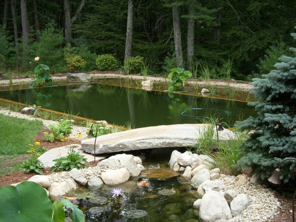 Bio-Schwimmteich im Garten naturnah aussehen vorteile