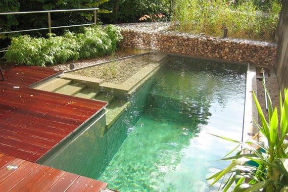 Bio-Schwimmteich Garten unterschiedliche niveaus treppen