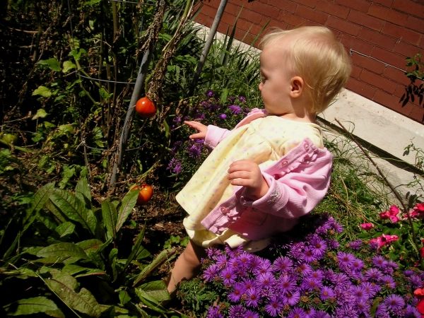 Blumen Garten für Kinder anlegen