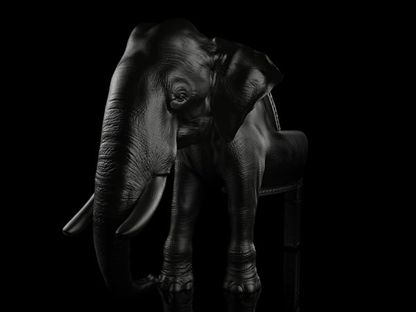 Elefant Schwarz Stuhl-Maximo-Riera Design