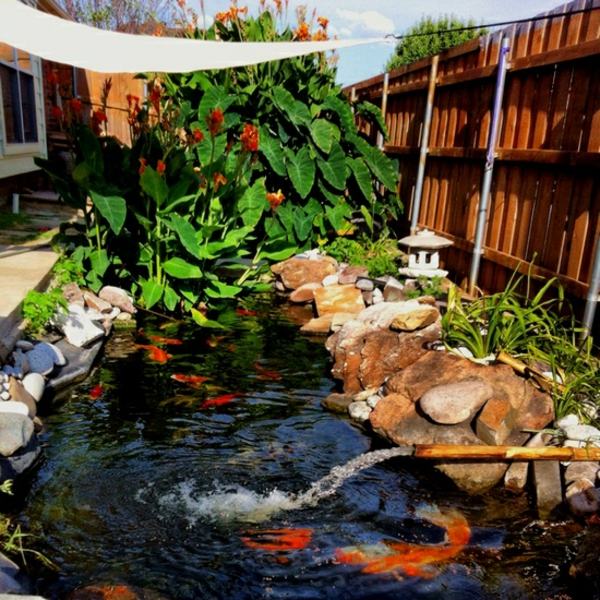 Fische züchten Koi Teich Garten japanischer Stil