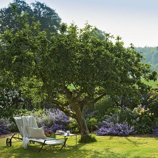 Garten Lounge zum relaxen idyllisch baumschatten liege