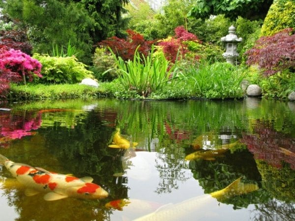 Garten Teich japanischer Stil Koi 