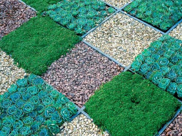 Gartengestaltung mit Steinen Gemüsen Gras geometrische Muster