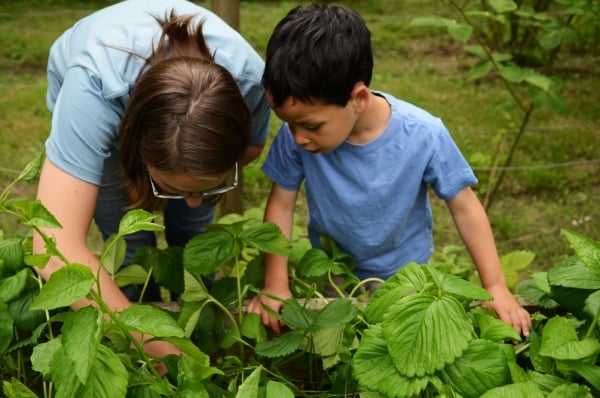 garten mit kindern