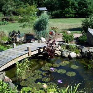 Gartenteich Ideen-anlegen Brücke