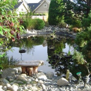 Gartenteich für Patio-Landschaftsbau Ideen