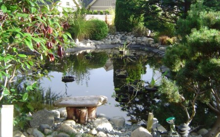 Gartenteich für Patio-Landschaftsbau Ideen