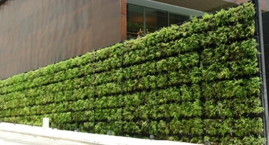 Grüne Wand Ideen-Wind sichtschutz Terrasse