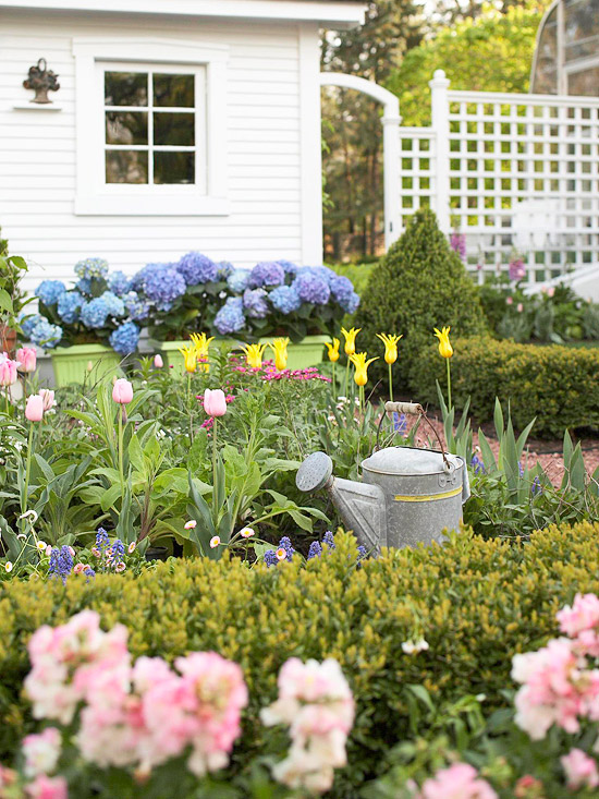 Ideen für den Garten Pflanzen und Blumen in allen