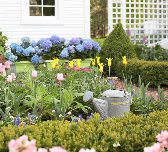 Ideen-für-den-Garten-blaue-hortensien-gitter-tulpen