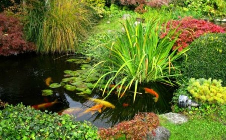 Koi Fische Garten japanischer Stil Gestaltung Ideen