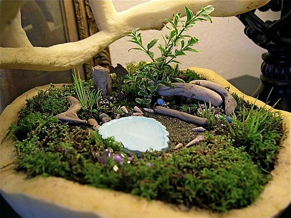 Miniaturgärten Pflanzkübeln moos teich holz