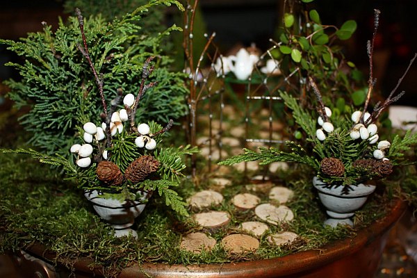 Miniaturgärten Pflanzkübeln pinien baumzweige