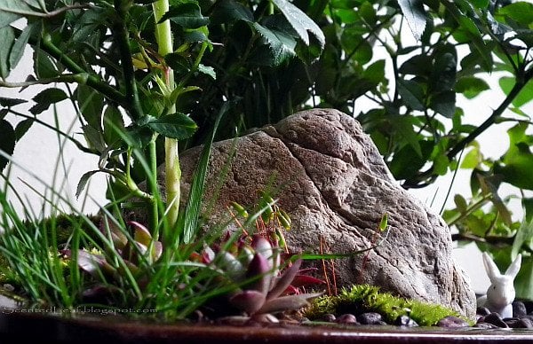 Miniaturgärten in Pflanzkübeln steine pflanzen deko