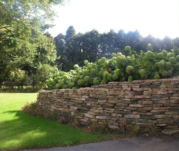 Naturstein Mauer im Garten bauen