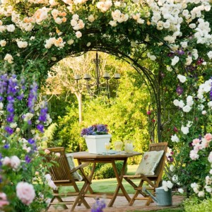 Pergola weiße Rosen Hochzeit romantische Stimmung