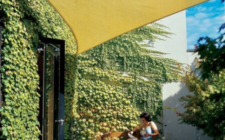 Sonnensegel-Terrasse-balkon-efeu-fassade-begrünung