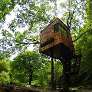 Stelzenhaus Baumhaus bauen Takashi Kobayashi-Japan