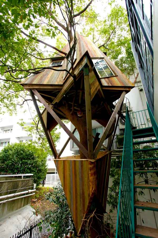 Stelzenhaus bauen Baum-Shirogane Kobayashi Architekt