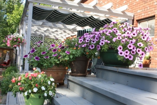 Terrassen Garten Blumen Ordnungssystem-Raum 