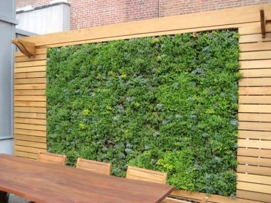 Vertikale Gärten-Sichtschutz Terrasse-Windschutz