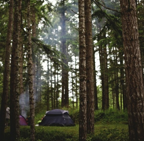 Wald campen Frühling Urlaub Ideen