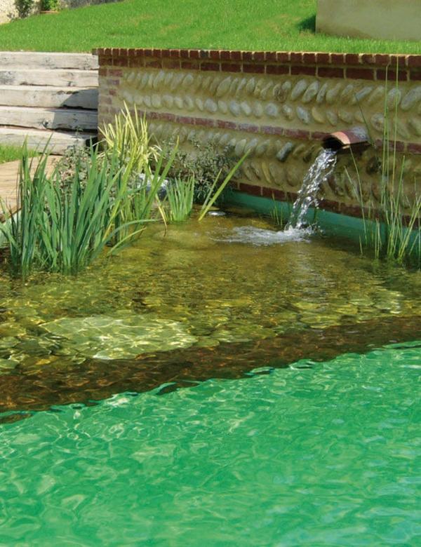 Wasser Reinigung Schwimmteich anlegen biologischer Pool Gestaltung