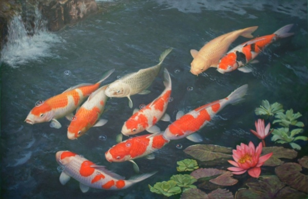Wassergarten Teich anlegen Koi Fisch-Zucht Tipps