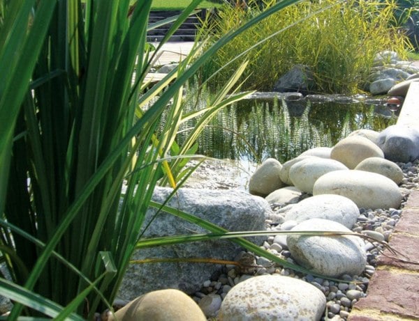 Wasserpflanzen Steinen Garten Keim entfernen Naturpool