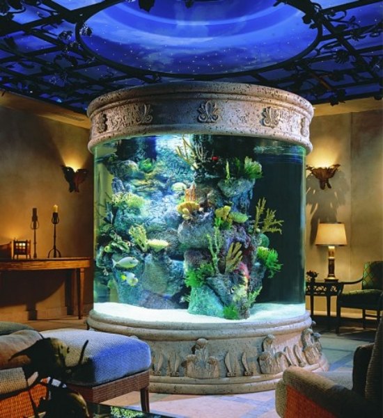 aquarium zu hause einrichten als dekoration antiker stil