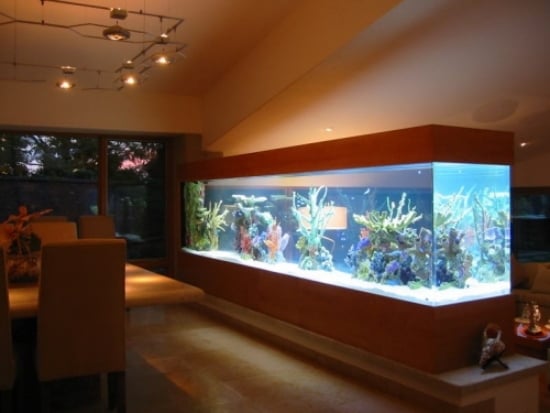 aquarium zu hause einrichten als dekoration im interieur