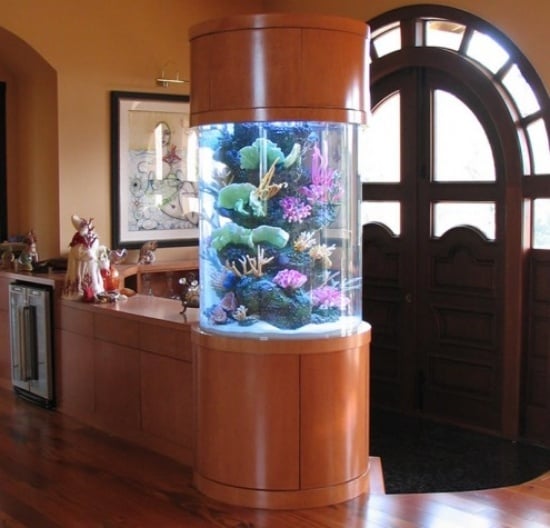 aquarium zu hause einrichten als dekoration integriert rund