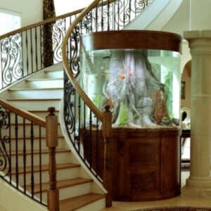 aquarium-einrichten-als-dekorationselement-moderne-einrichtung