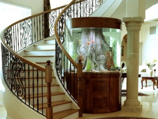 aquarium einrichten als dekorationselement moderne einrichtung