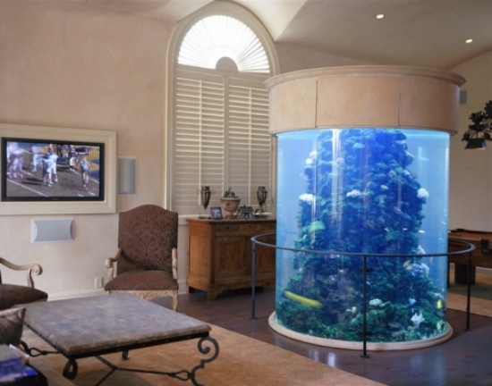 aquarium einrichten als dekorationselement wohnzimmer deko