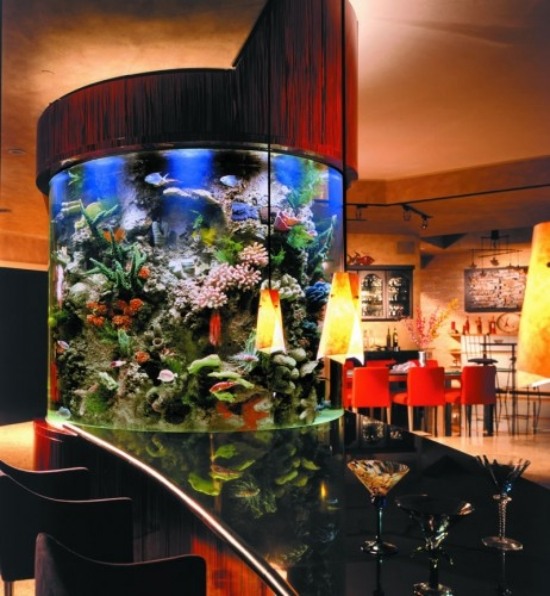 aquarium einrichten als dekorationselement zylinder form