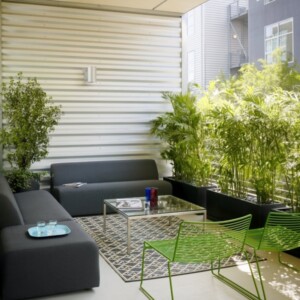 bambuspflanzen-balkon-pflanzgefäße-wachsen-sichtschutz-idee
