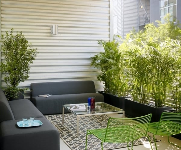 bambuspflanzen-balkon-pflanzgefäße-wachsen-sichtschutz-idee
