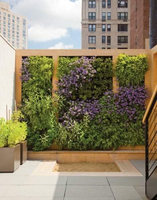 bepflanzte Wand Balkon Design Ideen Frühlingsblumen