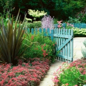 Gartengestaltung mit Steinen