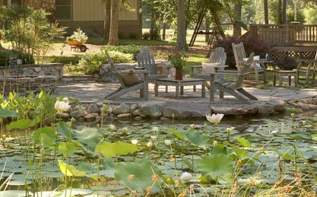 gartenteich-neu-anlegen-tipps-für-wassergarten-fertig