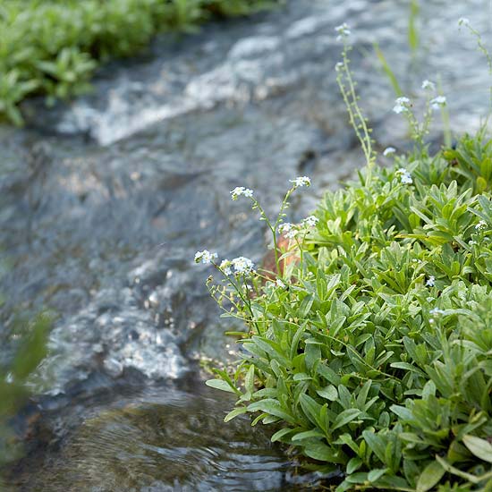 gartenteich neu anlegen tipps für wassergarten wasser pflanzen