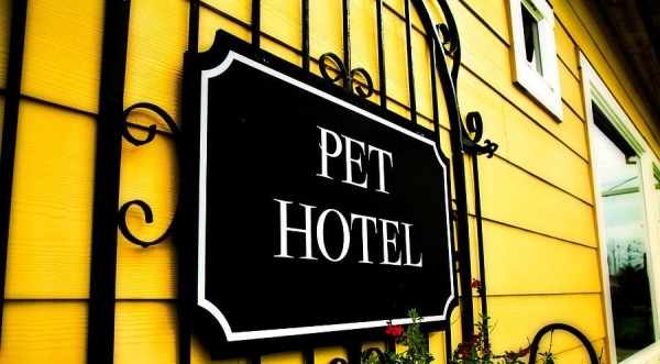 hotel hunde tierpension als trend pet hotel