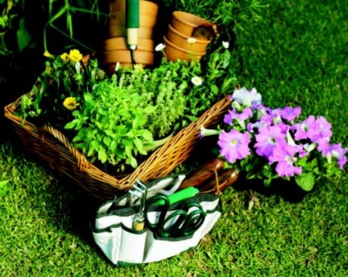Nützliche Tipps wie Sie den Garten günstig gestalten können