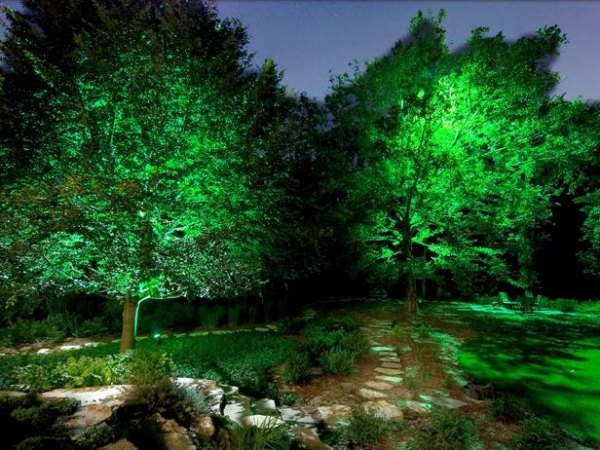 ideen für beleuchtung im garten bäume beleuchten